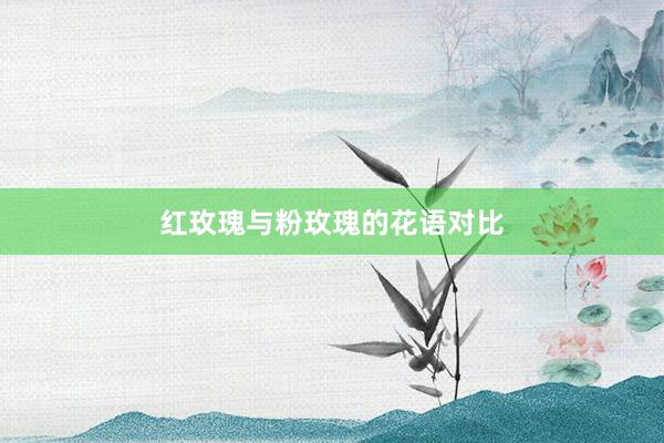 红玫瑰与粉玫瑰的花语对比
